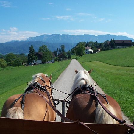 Gasthofladen Schneeweiss Attersee 外观 照片